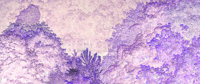 Bomen in het park in fotonegatief